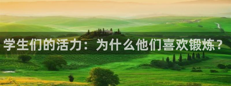 vsport体育在线官网：学生们的活力：为什么他们喜欢锻炼？