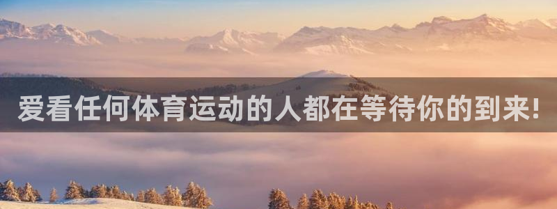 vsport体育在线官网：爱看任何体育运动的人都在等待你的到来!