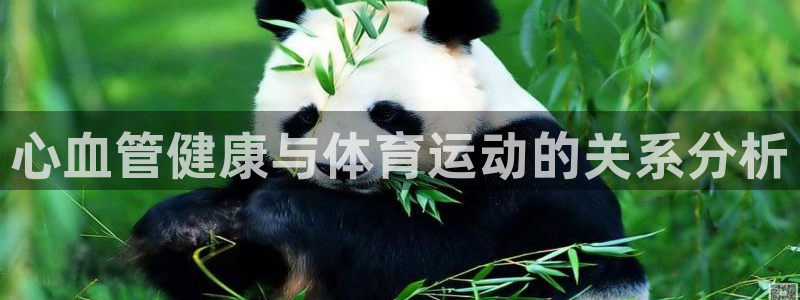 vsport体育：心血管健康与体育运动的关系分析