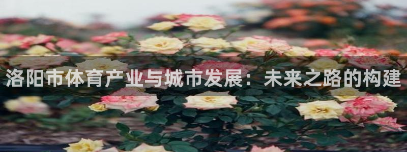 vsport体育：洛阳市体育产业与城市发展：未来之路的构建