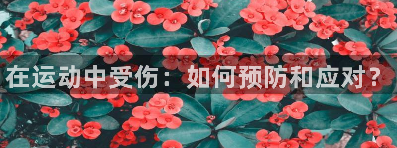 vsport体育在线官网：在运动中受伤：如何预防和应对？