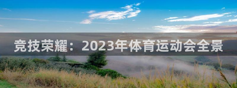 vsport体育在线官网：竞技荣耀：2023年体育运动会全景