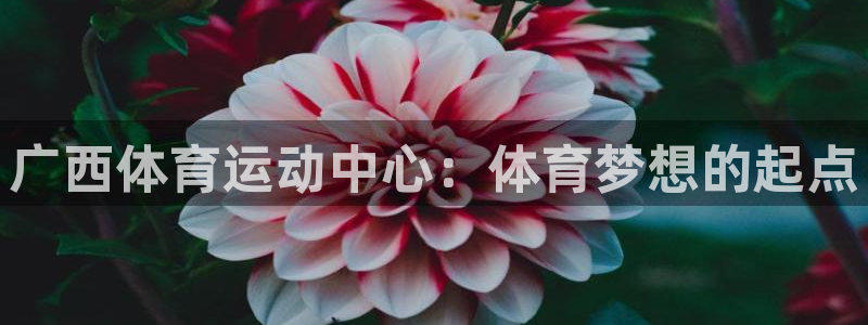 vsport体育在线官网：广西体育运动中心：体育梦想的起点