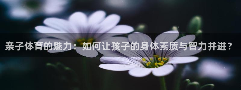 vsport体育