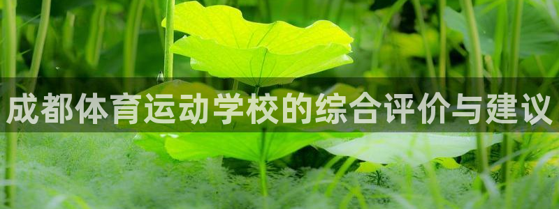 vsport体育：成都体育运动学校的综合评价与建议