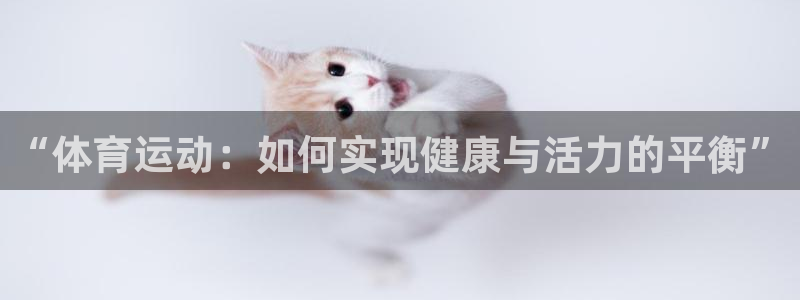 vsport体育