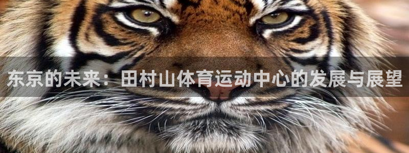 vsport体育在线官网