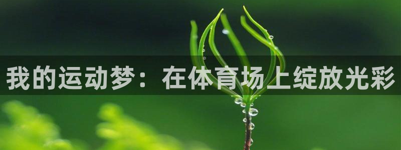 vsport体育在线官网