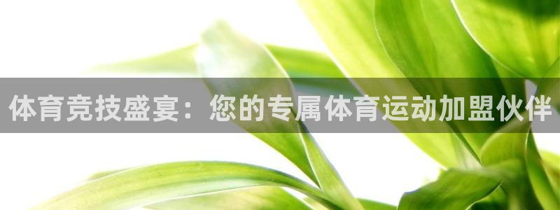 vsport体育在线官网：体育竞技盛宴：您的专属体育运动加盟伙伴