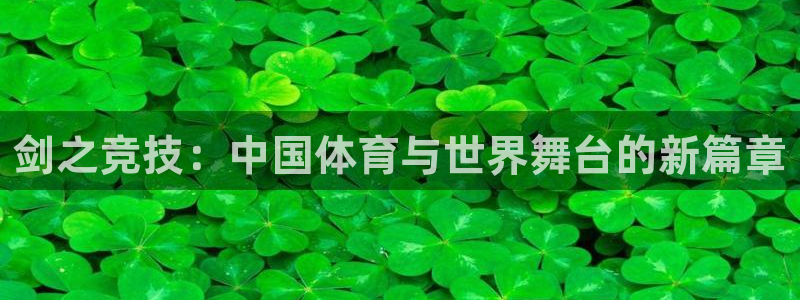 vsport体育：剑之竞技：中国体育与世界舞台的新篇章